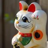 招き猫 ランク上げ代行