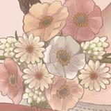 mamimu916