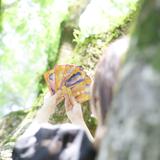 ライトワーカー⚛あゆみ
