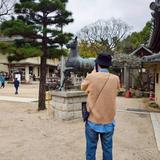 えだまめ広告社　伴走型支援会社