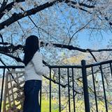 suikaデザイン