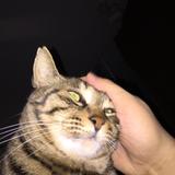 佐倉　