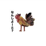 昭和生まれのニワトリくん
