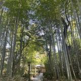 ももにしやま
