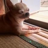 グッちゃん！
