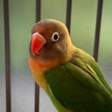 Yuki_1225