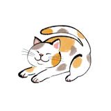 優希占さん