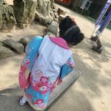 0929和