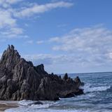 田中雄太at岐阜