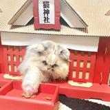 お神酒ﾁｬﾝ