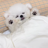ゆーちゃんんん