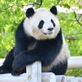 ヒロ／副業で月収7桁達成
