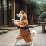 とぶぞお