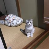 takumi_fuzishiro