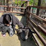 ハル 悠