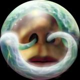 zizytop