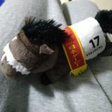 ななころびはっち