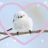 シマちゃん♡