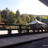 ツール開発　ほりてん