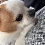 ミサキ。