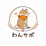 わんサポ｜石井陽翔