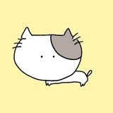 めめっちょ