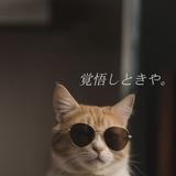 カルピスコーラ