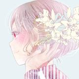 星屑にこ