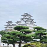 きんにく先生