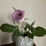 kokorone ひとみ