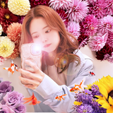 makkiki