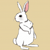 yossy bunny