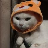 及川佑樹