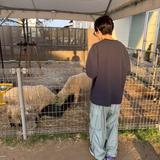 たかぽんv