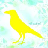 yellowbird co