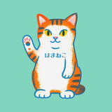 ネコの動画屋さん ハマねこ