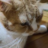 t67a346e722etyW23YW
