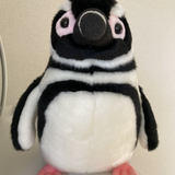 むっしゅ_