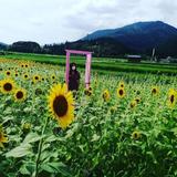Hi Masami