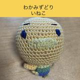 若水鶏 稲子｜話し声専門ボイストレーナー
