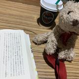 ぴよぴよくますけ