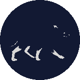 kon_Shirogane