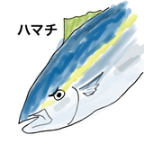 ミヤジマ　ケンタロウ