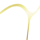 Y’s Branding Studio