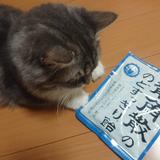 kokoꕤ︎︎