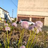 penname1093