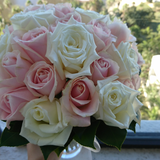 Lilly333