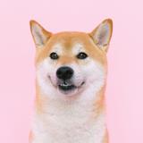なんでも相談できるおじさん