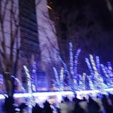 riari279