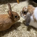 健康まさお